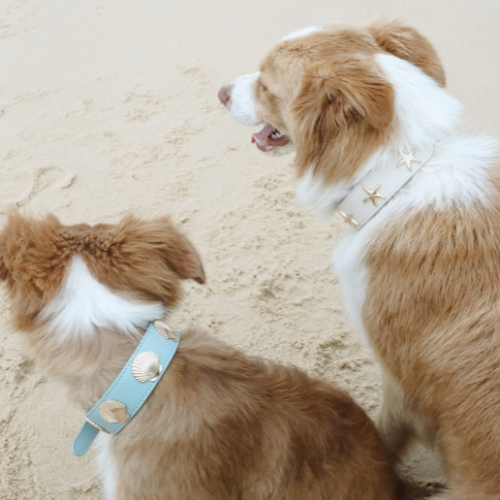 Coastal Collar in Blue & Gold