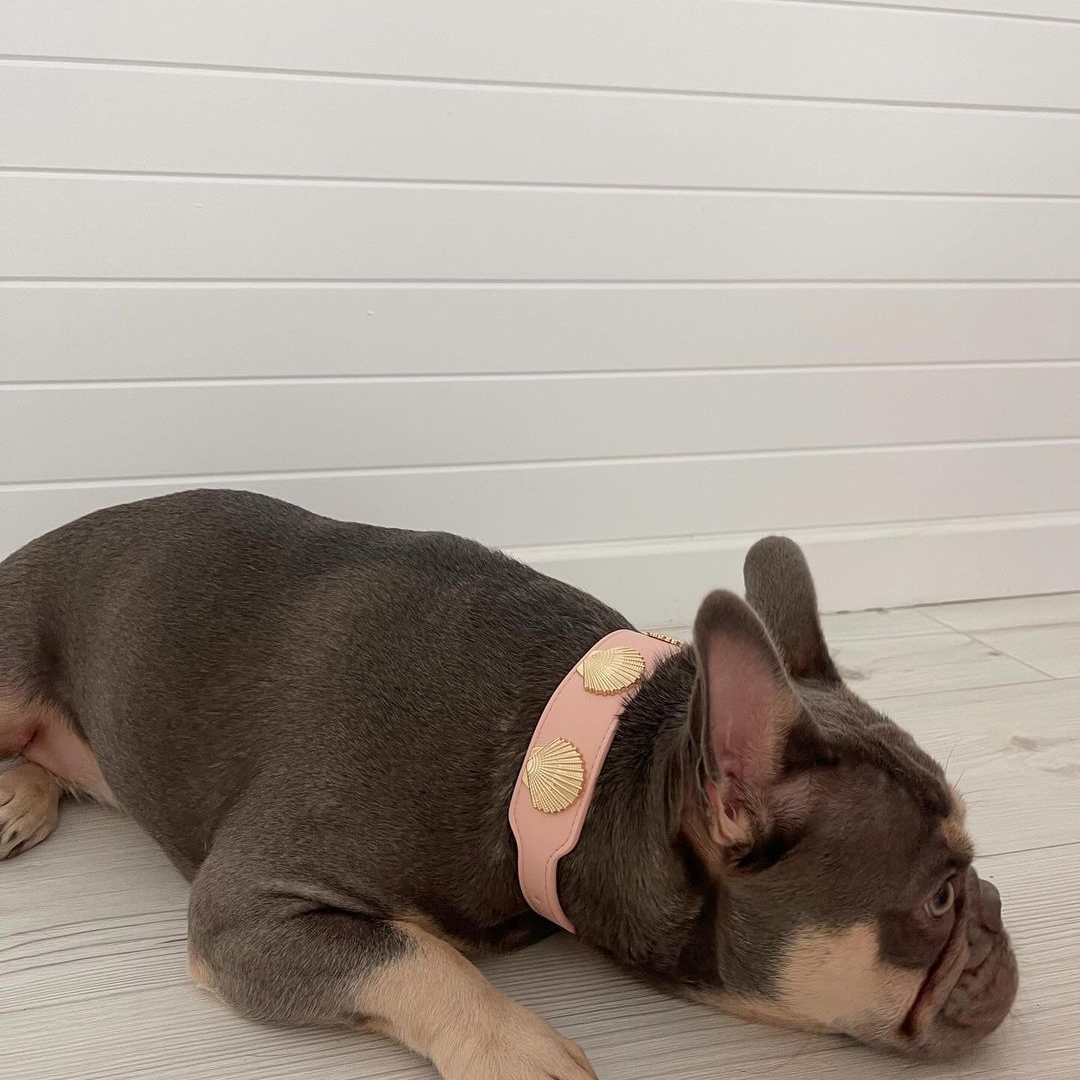 Coastal Collar in Pink & Gold