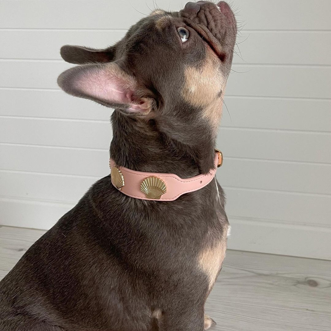 Coastal Collar in Pink & Gold