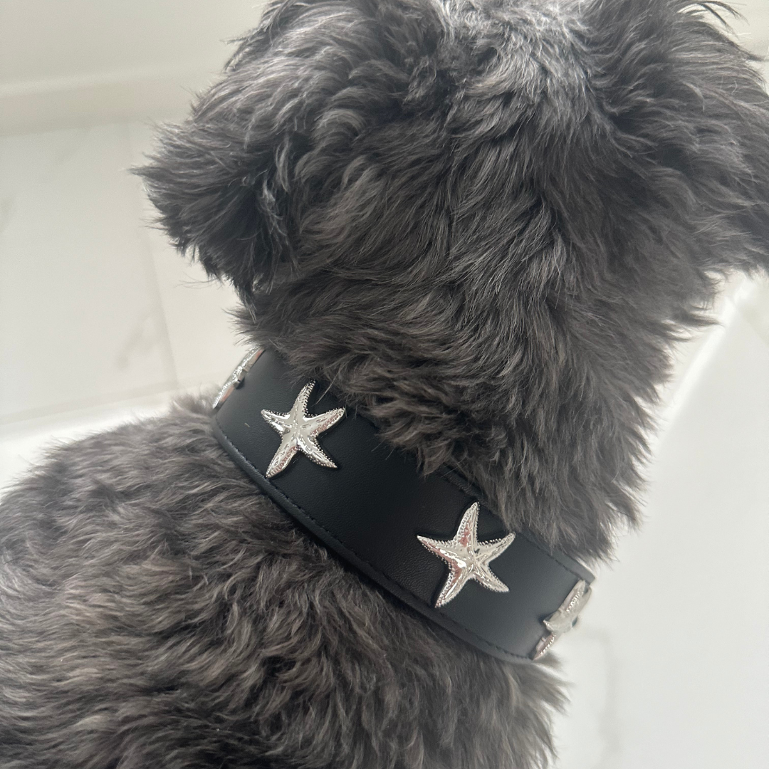 Starfish Collar in Black & Silver