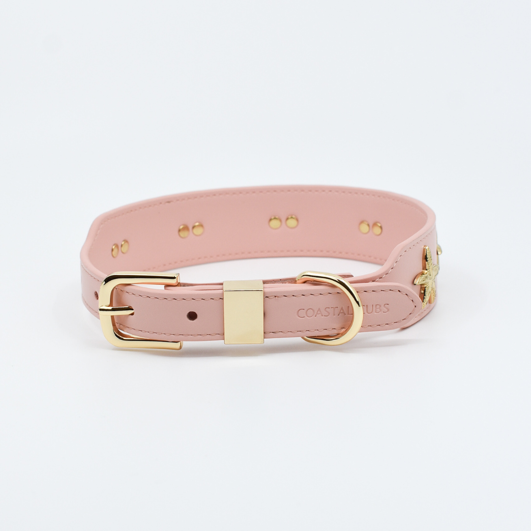 Starfish Collar in Pink & Gold