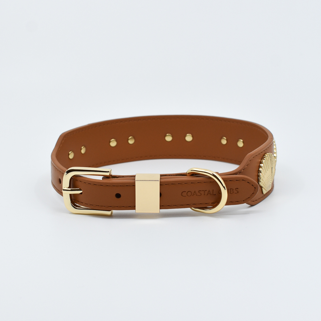 Coastal Collar in Tan & Gold