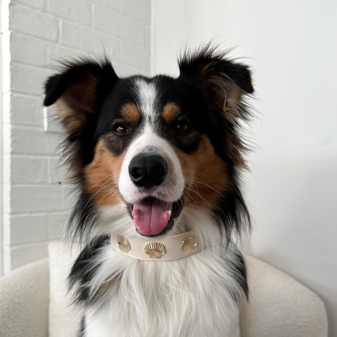 Coastal Collar in Beige & Gold