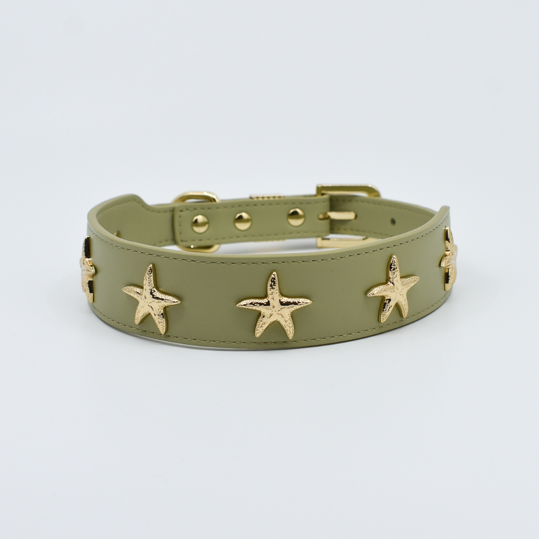 Starfish Collar in Sage & Gold