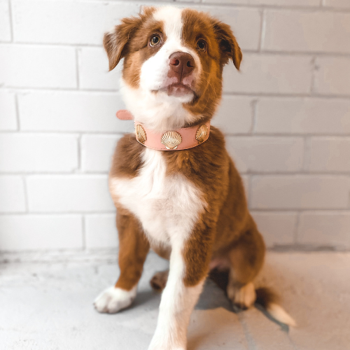 Coastal Collar in Pink & Gold