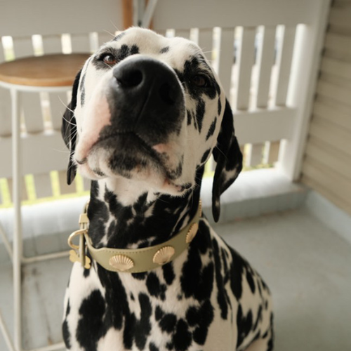 Coastal Collar in Sage & Gold