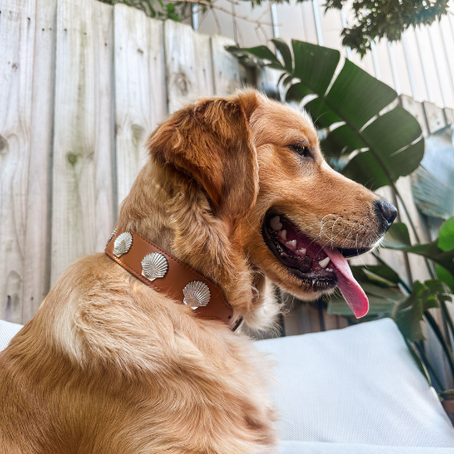 Coastal Collar in Tan & Silver