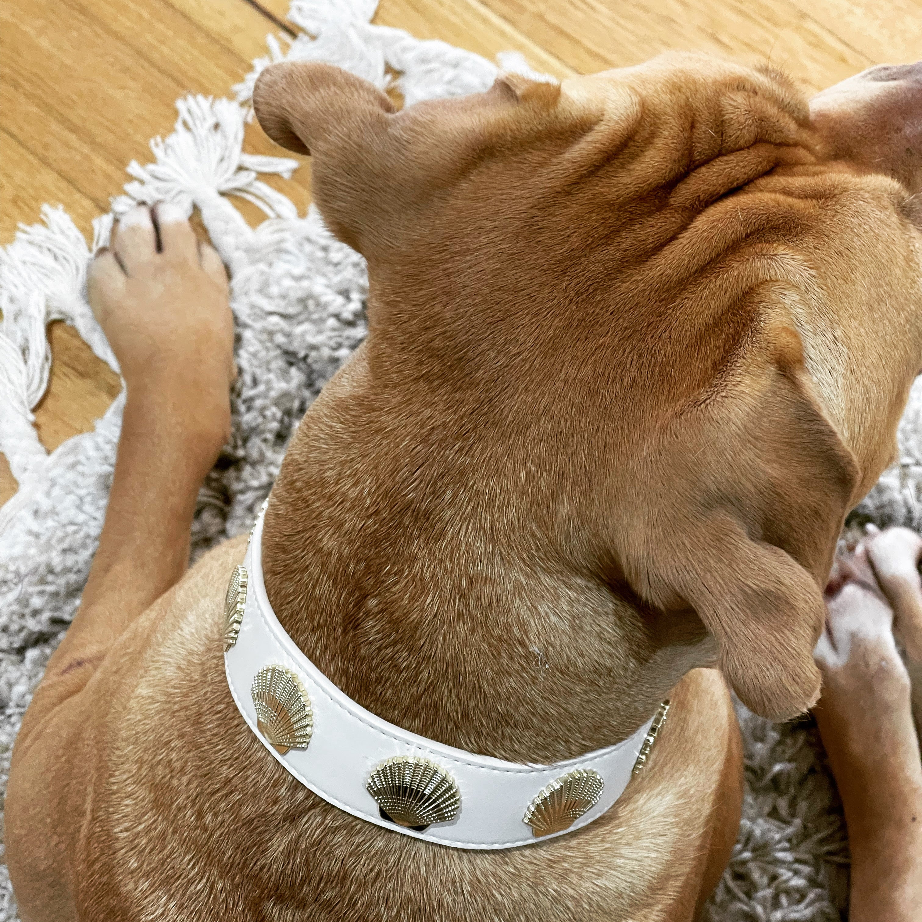 Coastal Collar in Beige & Gold