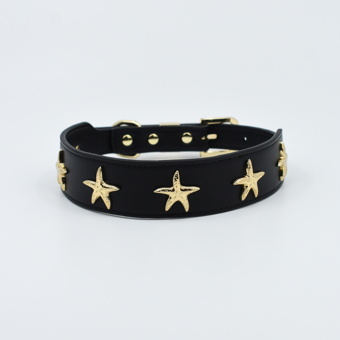 Starfish Collar in Black & Gold