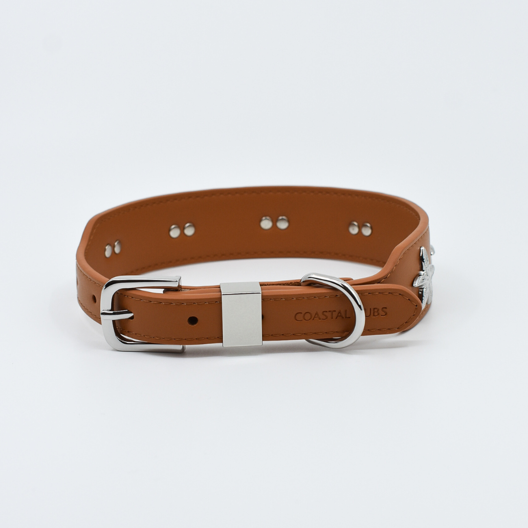 Starfish Collar in Tan & Silver