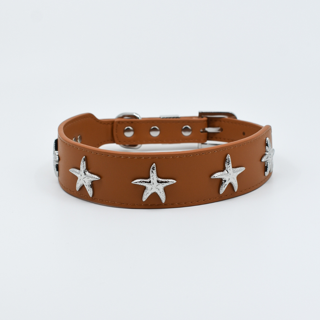 Starfish Collar in Tan & Silver