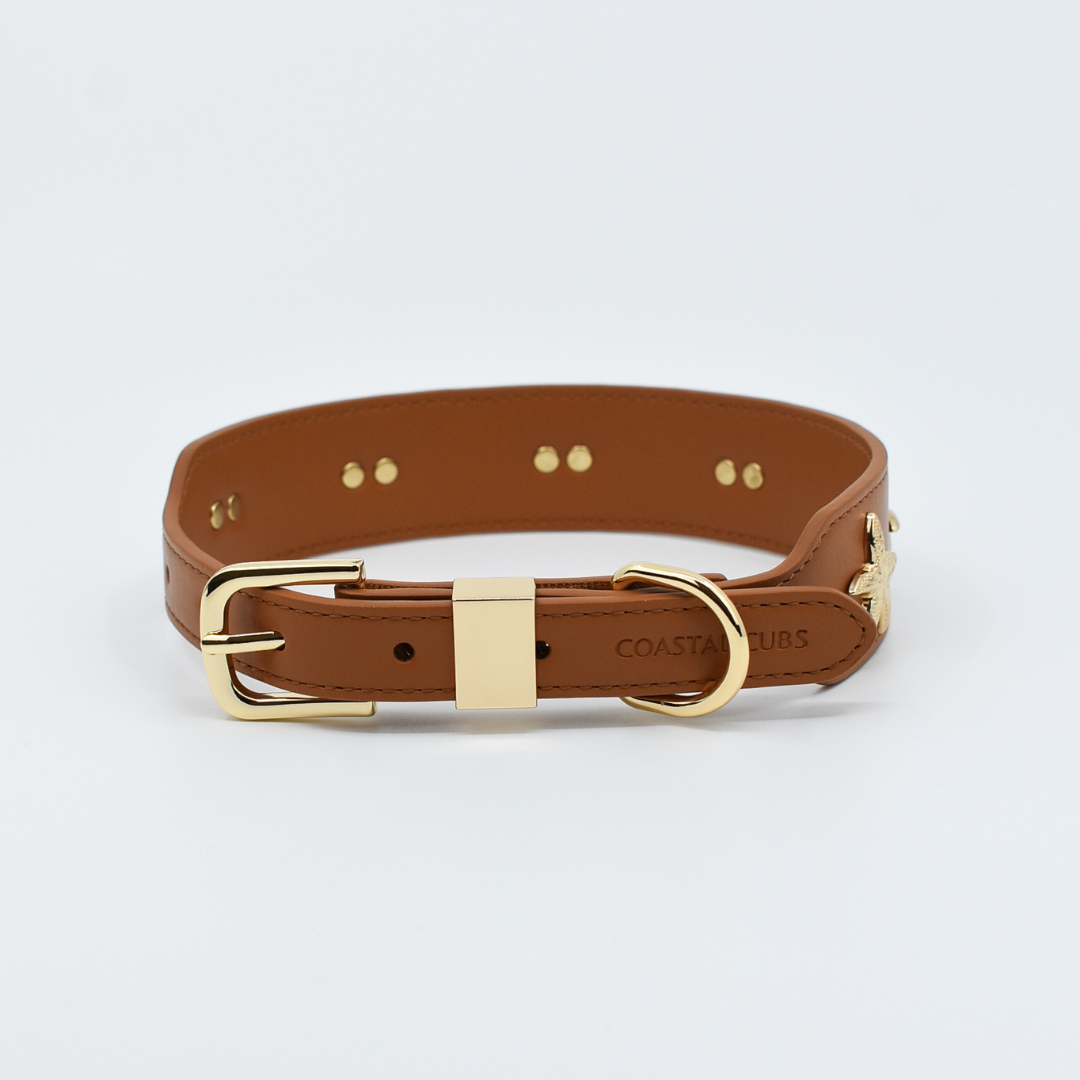 Starfish Collar in Tan & Gold