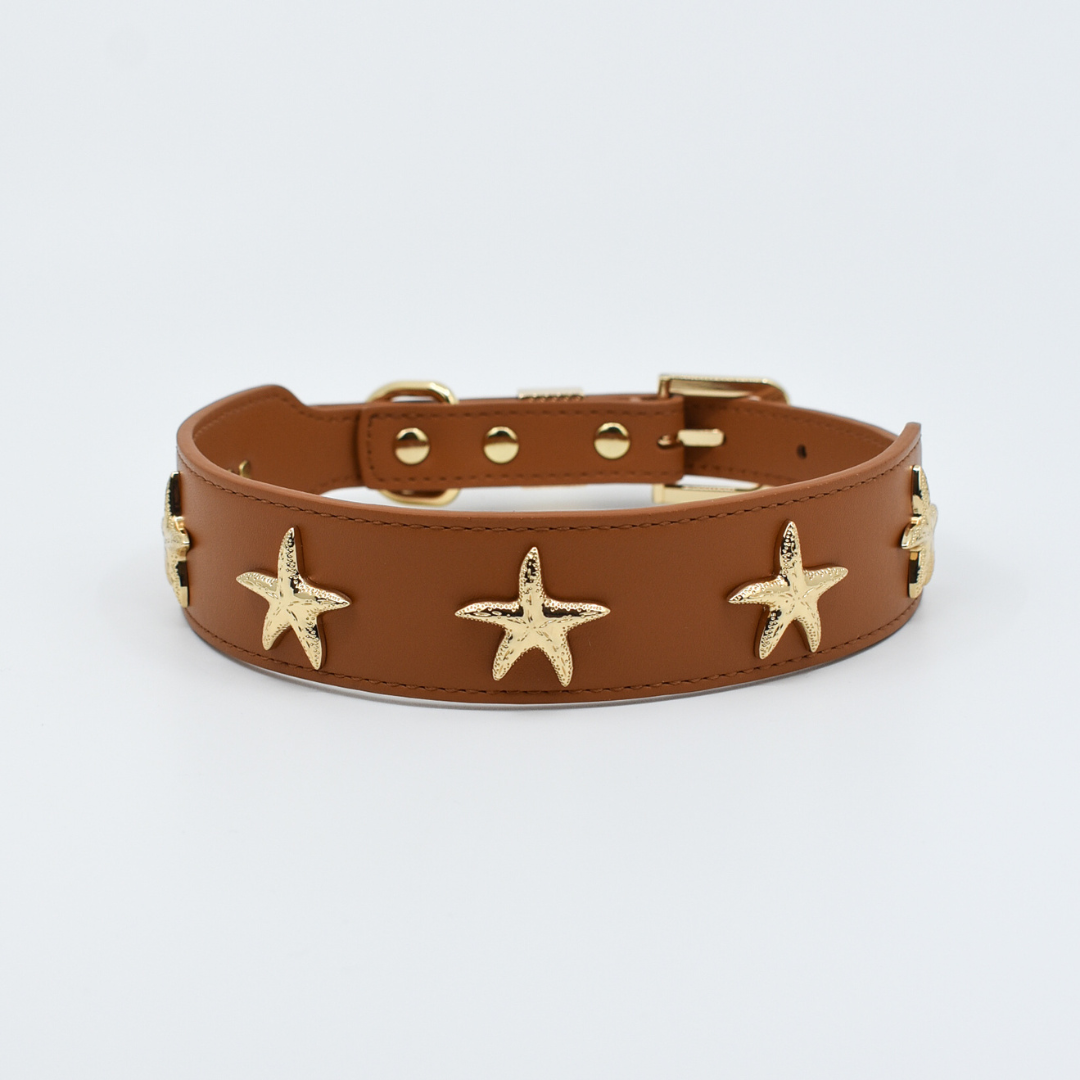Starfish Collar in Tan & Gold