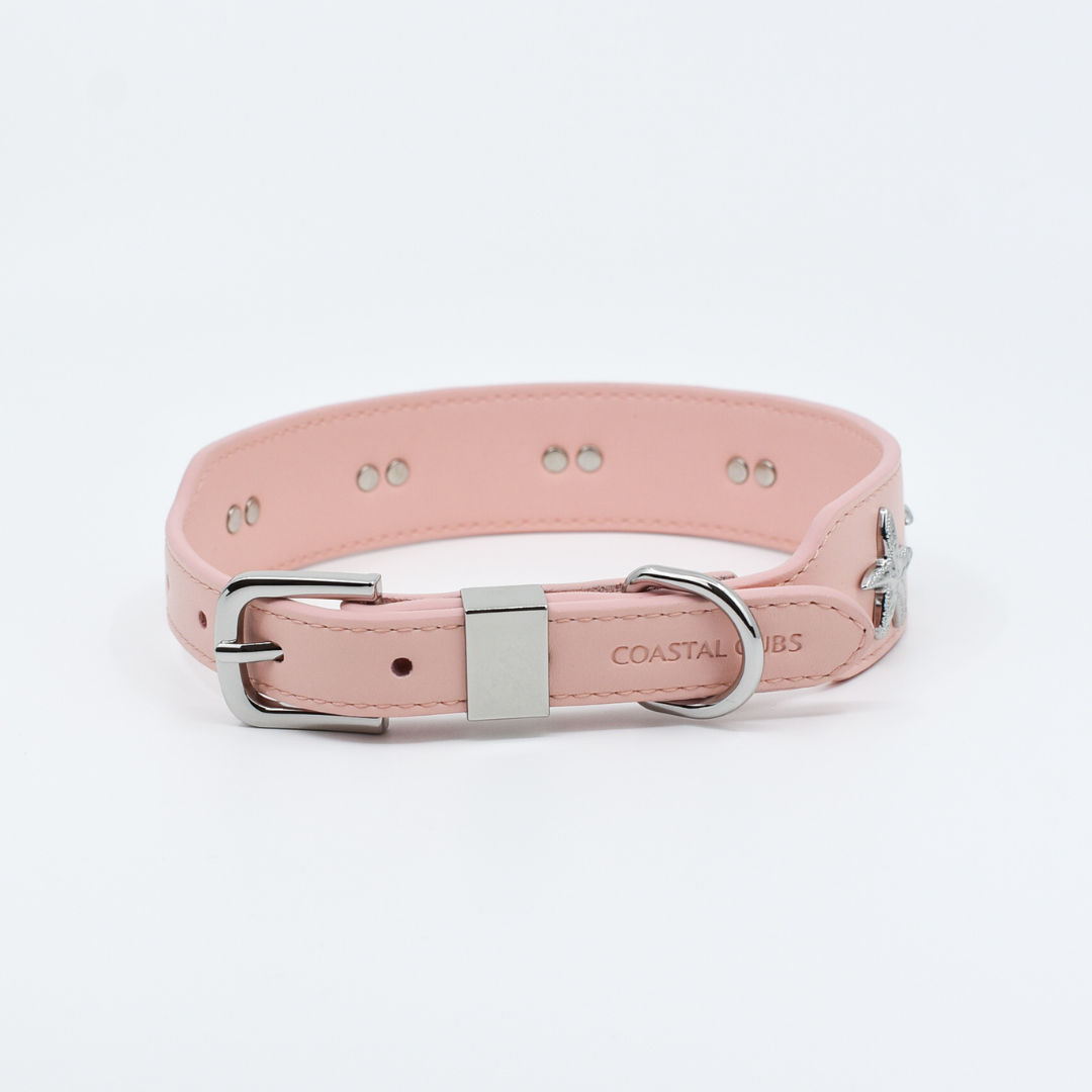 Starfish Collar in Pink & Silver