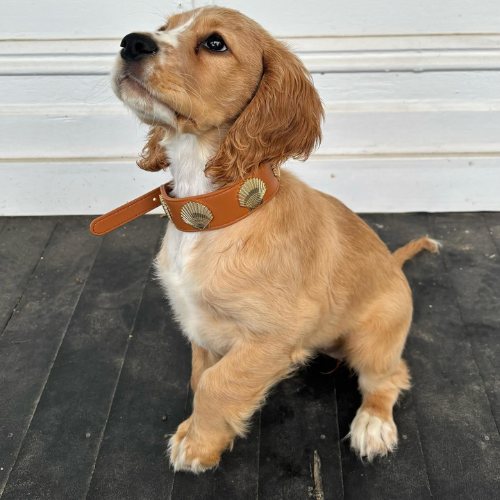Coastal Collar in Tan & Gold