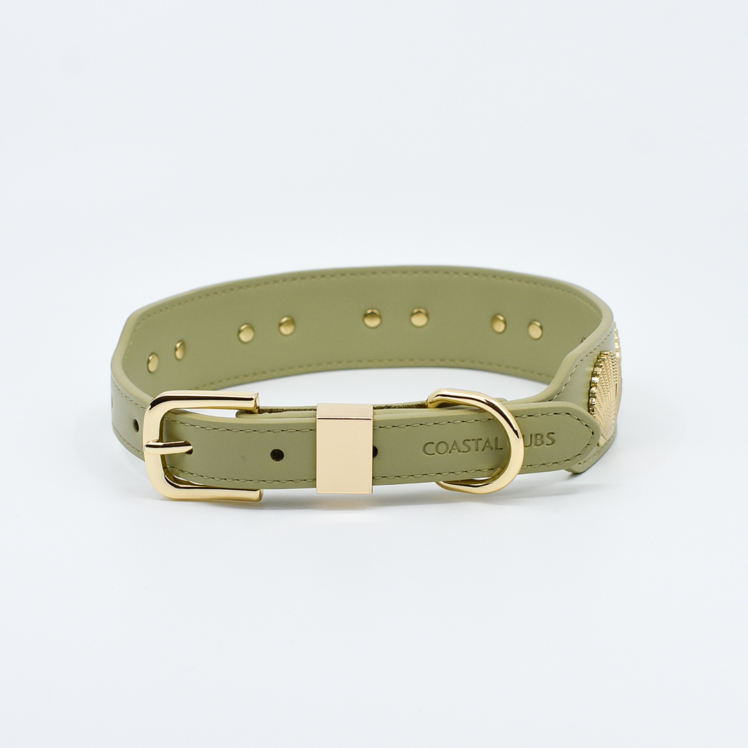 Coastal Collar in Sage & Gold