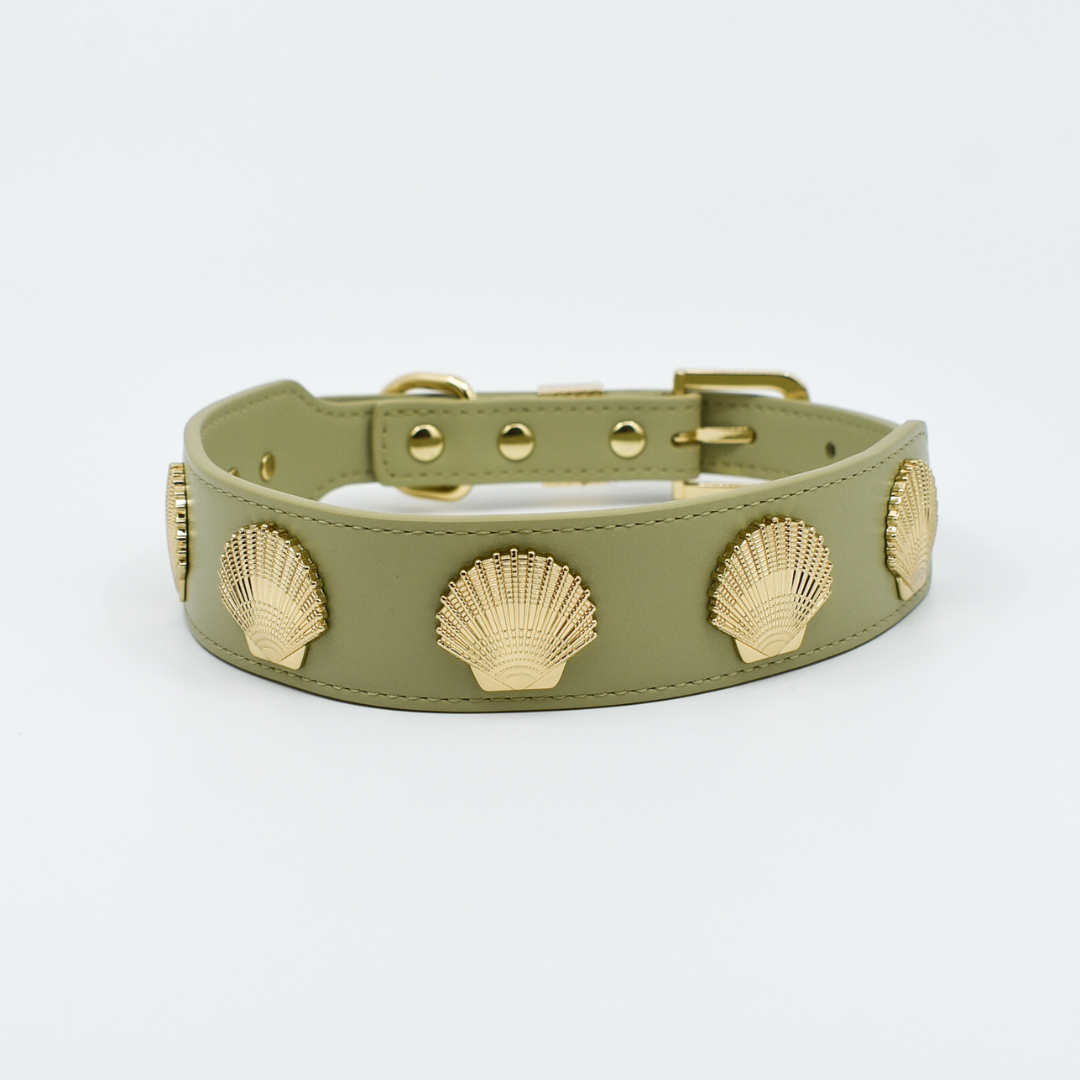 Coastal Collar in Sage & Gold
