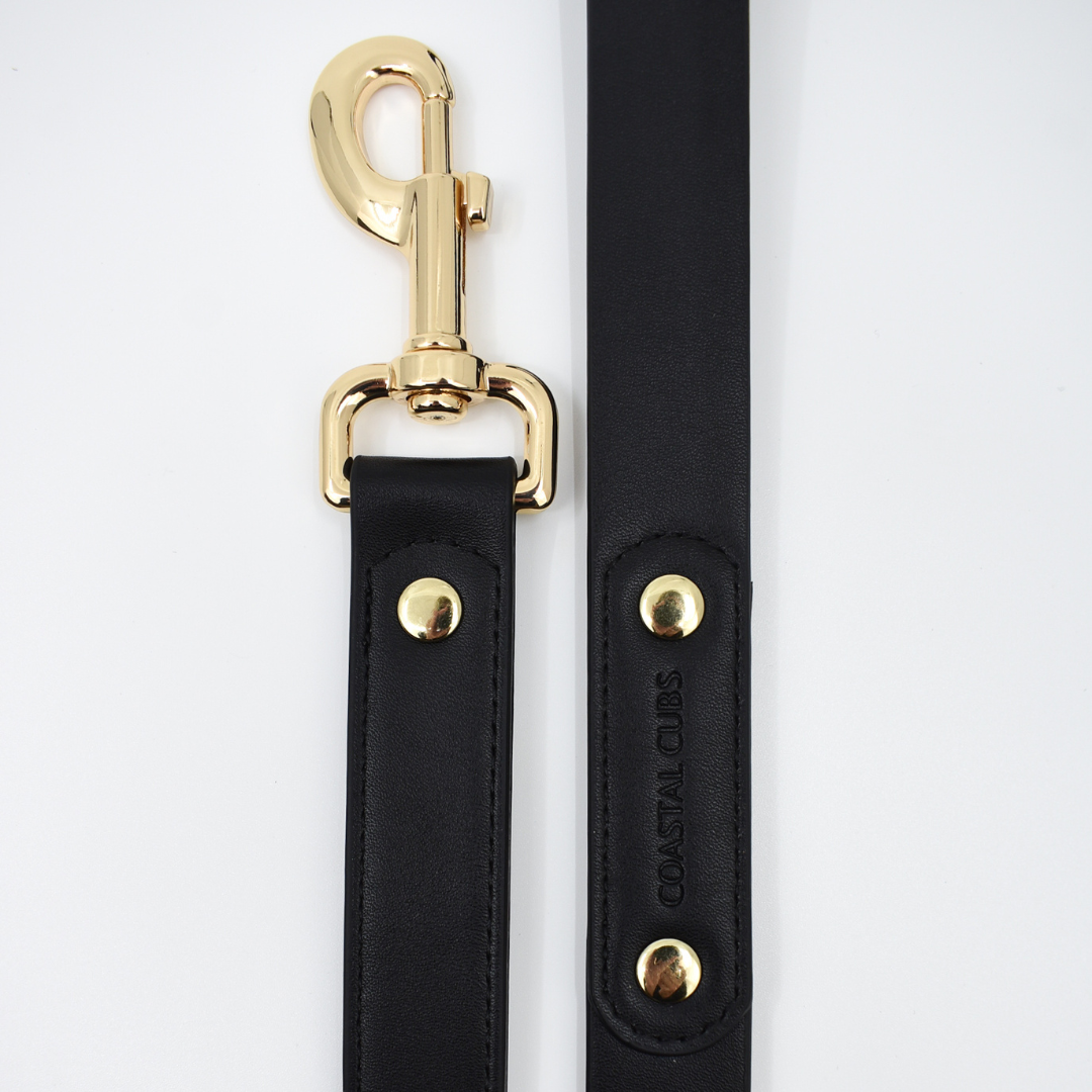 Stud Lead in Black