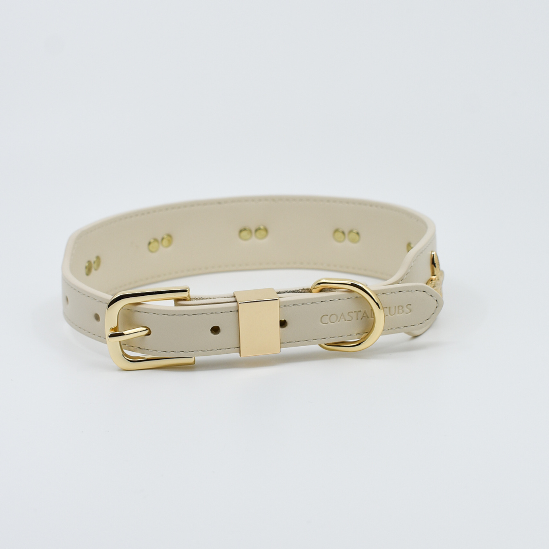 Starfish Collar in Beige & Gold