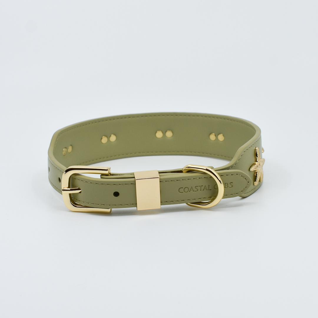 Starfish Collar in Sage & Gold