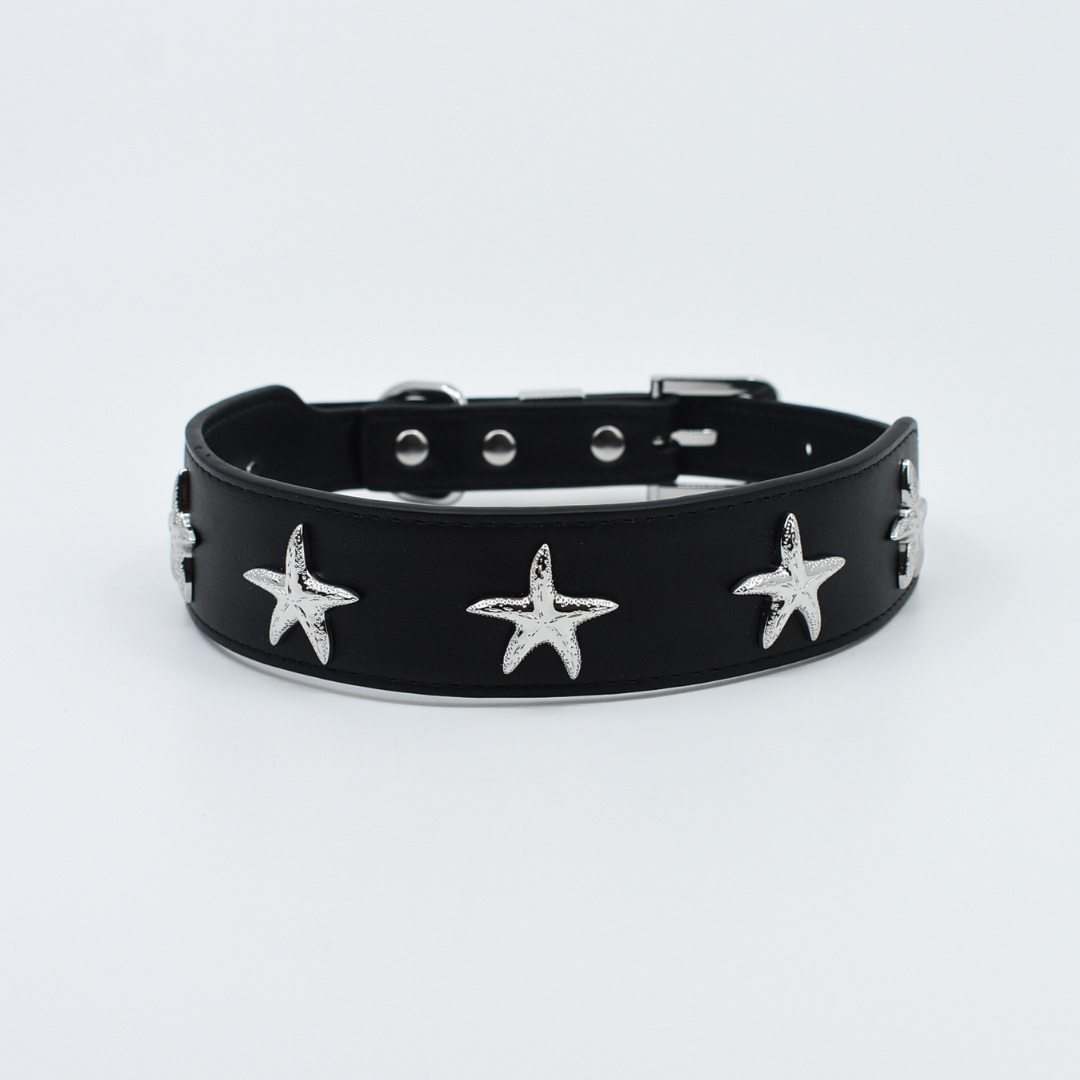 Starfish Collar in Black & Silver