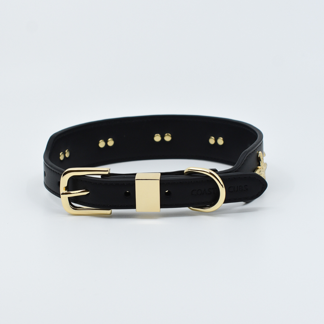 Starfish Collar in Black & Gold