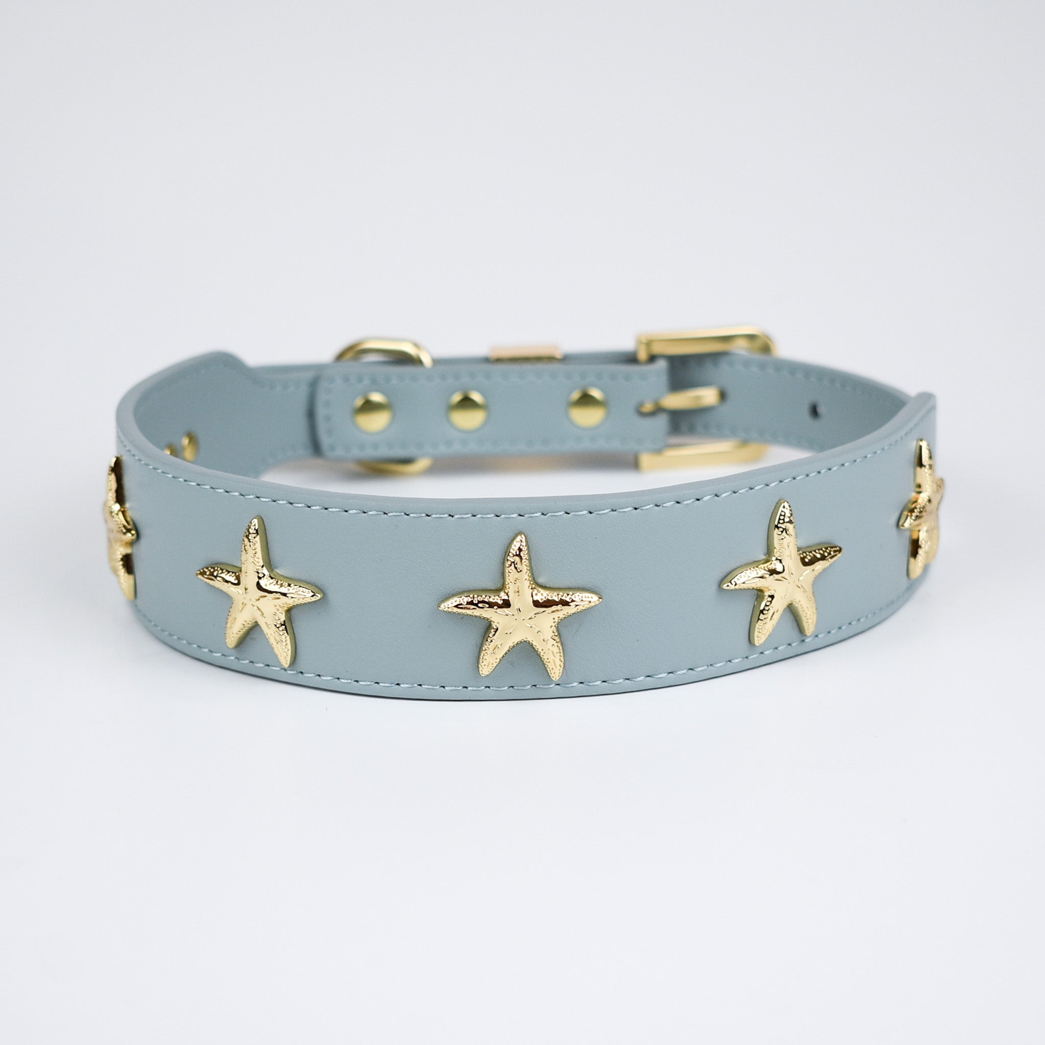 Starfish Collar in Blue & Gold