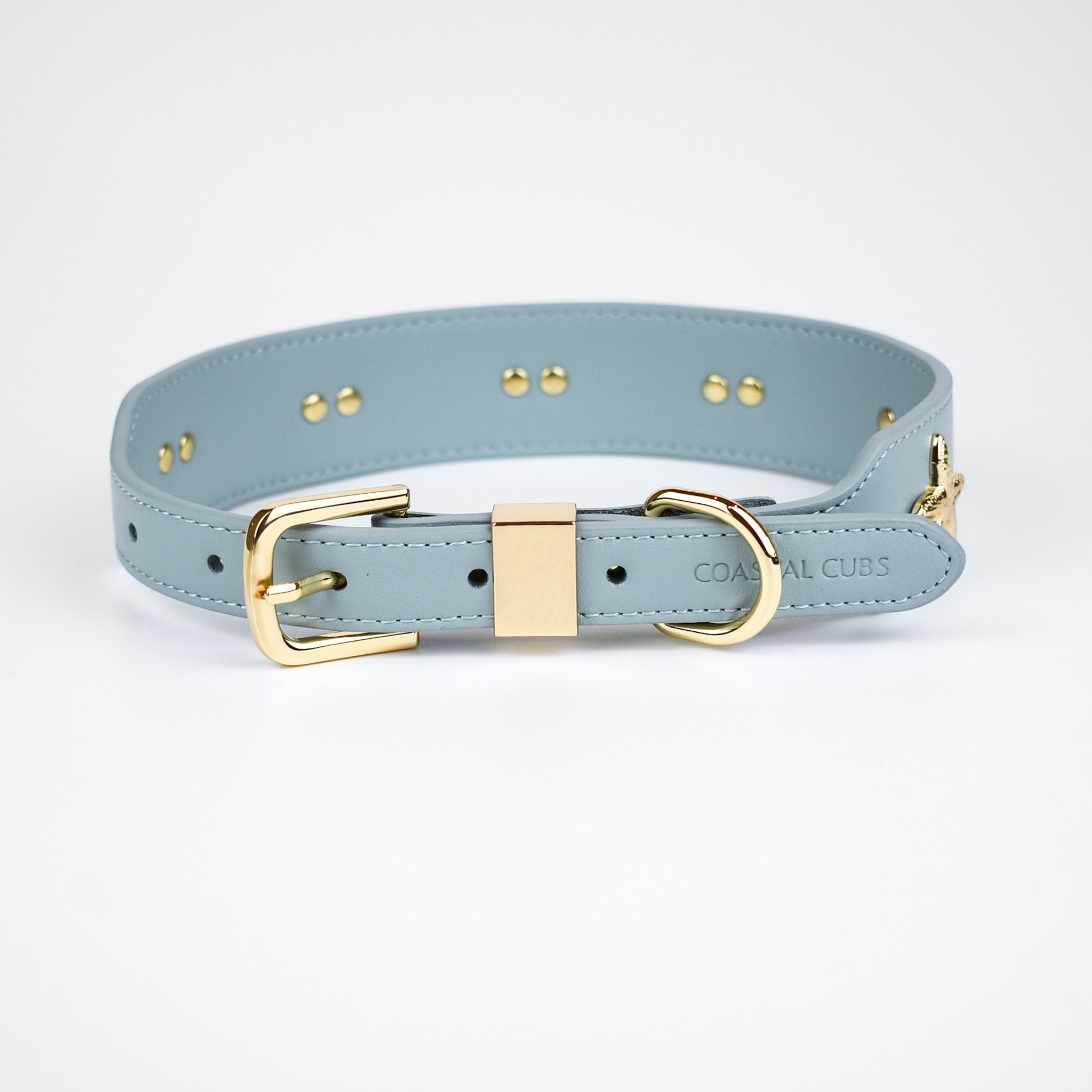 Starfish Collar in Blue & Gold